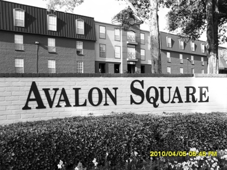 Avalon Square in Houston River Oaks